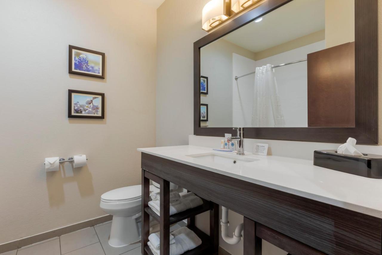 Comfort Inn & Suites Balch Springs - Se Dallas المظهر الخارجي الصورة
